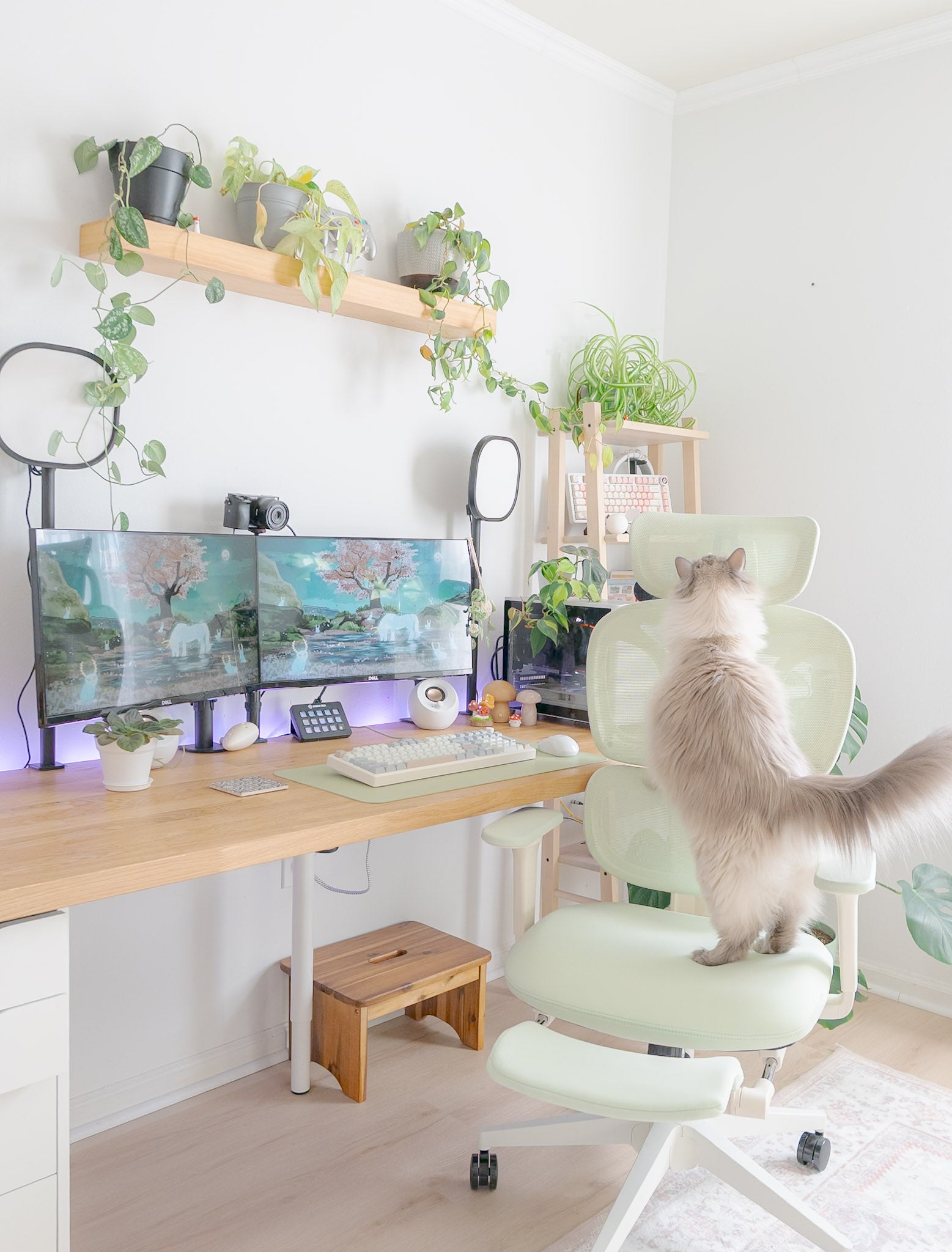 20250430-154754.jpg__PID:8667a351-ae17-429c-8336-d6888de5fb04