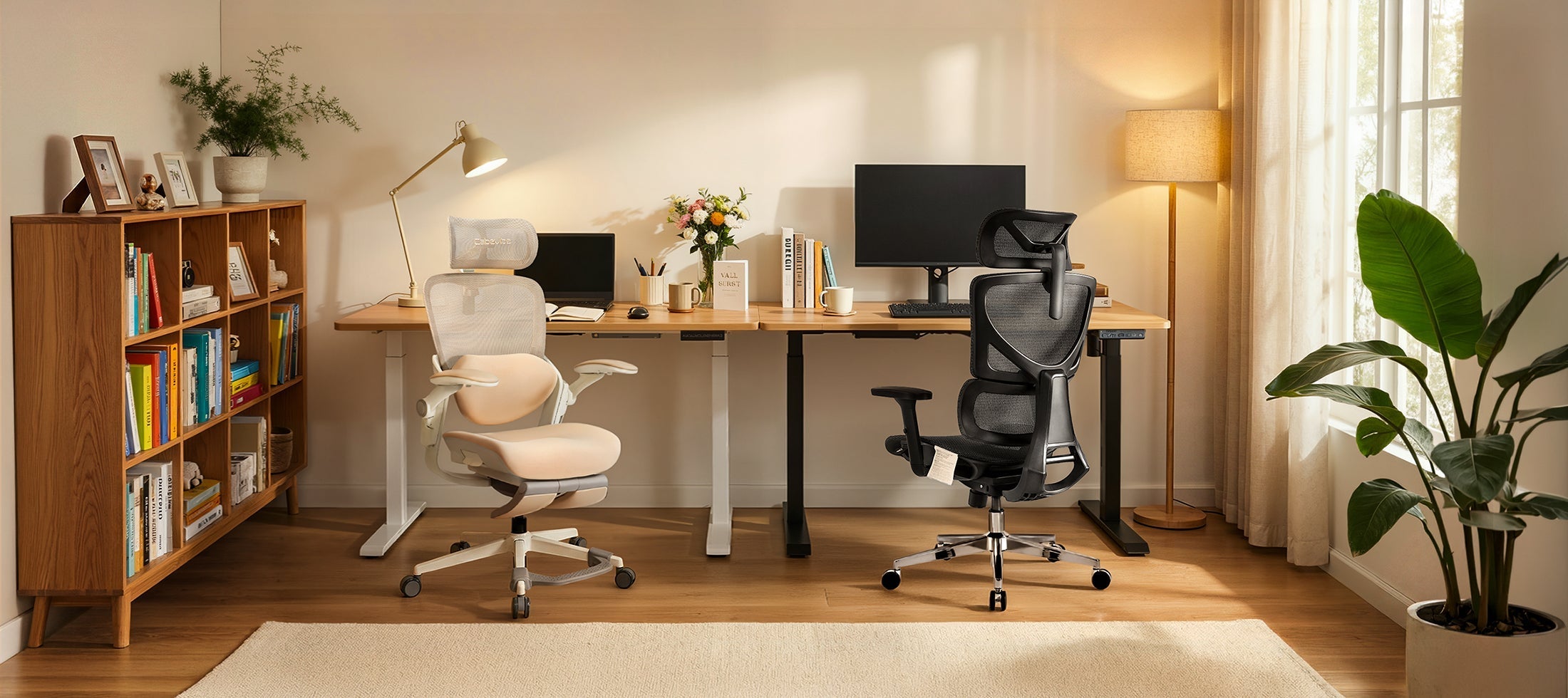 S1 Embrace or S2? How to Choose the Right CabLady Ergonomic Chair for Your Body Type