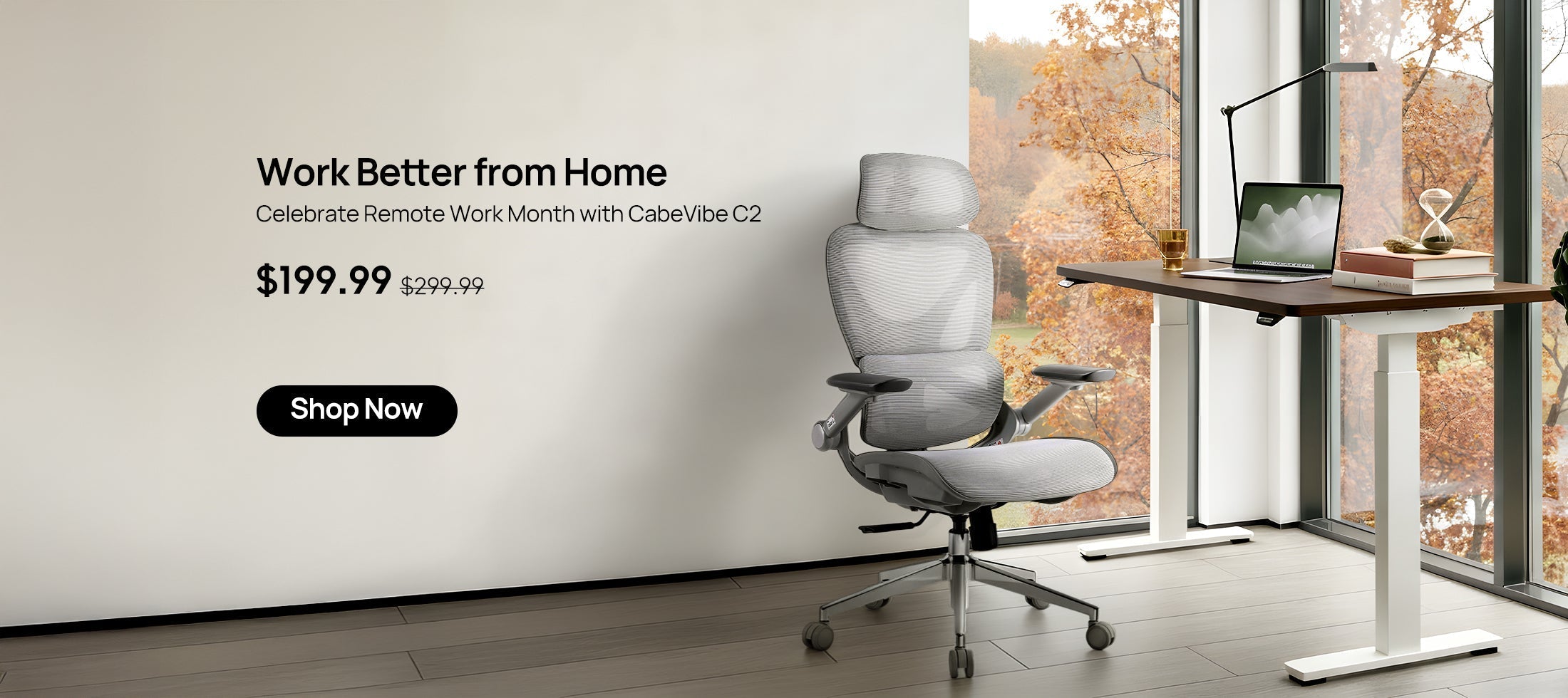 Remote Work: How the Right Chair Transforms Your Health and Productivity
