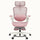 CabLady S2 Ergonomic Chair