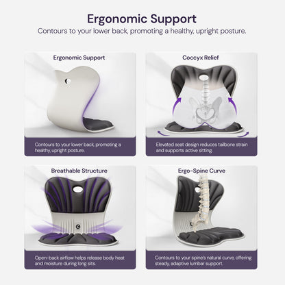 CabSupport M1 Ergonomic Posture Correction Spineseat™