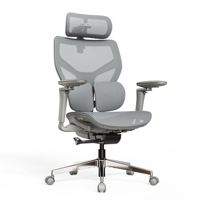 CabBase C3 Dual Lumbar Ergonomic Office Chair