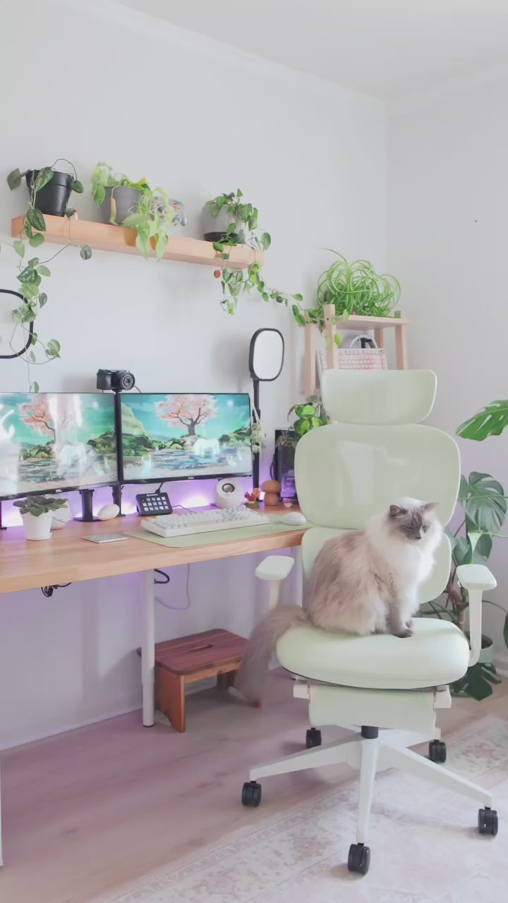 Load video: 20250430-154754.jpg__PID:8667a351-ae17-429c-8336-d6888de5fb04